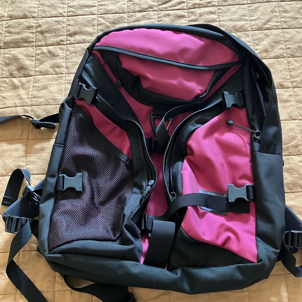 Tom Bihn Brain Bag Raspberry and Light Purple